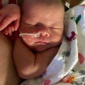 Baby Boy - November -2019 Windsor Baby