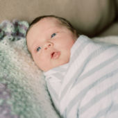 Dec Girl 2020 Dec Girl 2020